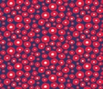 Poppy Love - Small Allover Poppies on Navy Fabric 