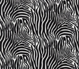 Zebra Skin African Safari Fabric Crafting